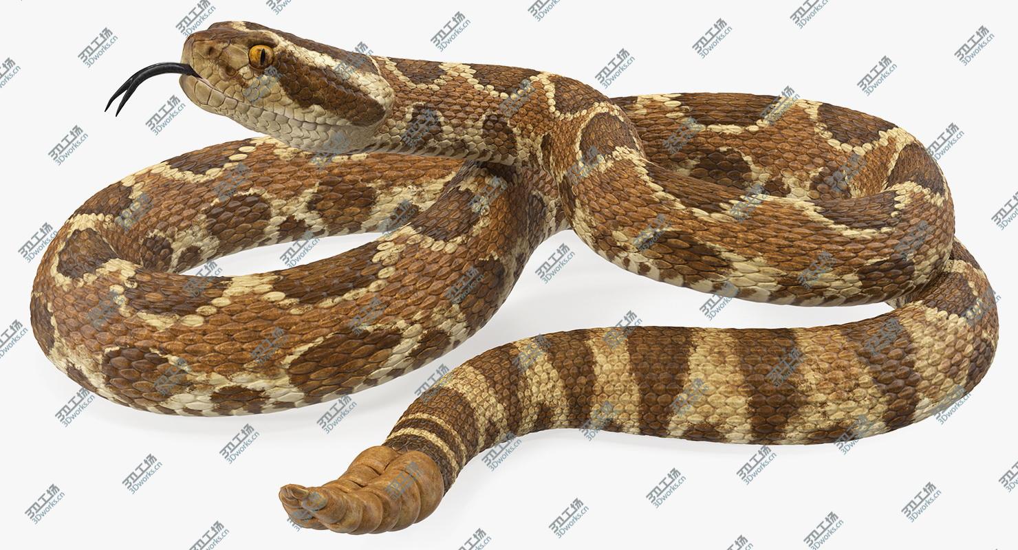 images/goods_img/202105072/3D Light Rattlesnake/2.jpg